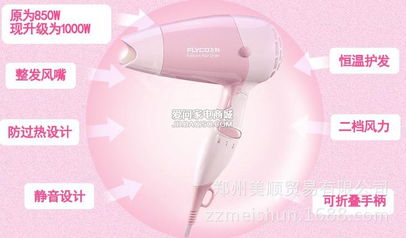 河南鄭州飛科FH6203電吹風(fēng) 代理價(jià)格、廠家聯(lián)系與產(chǎn)品詳情解析